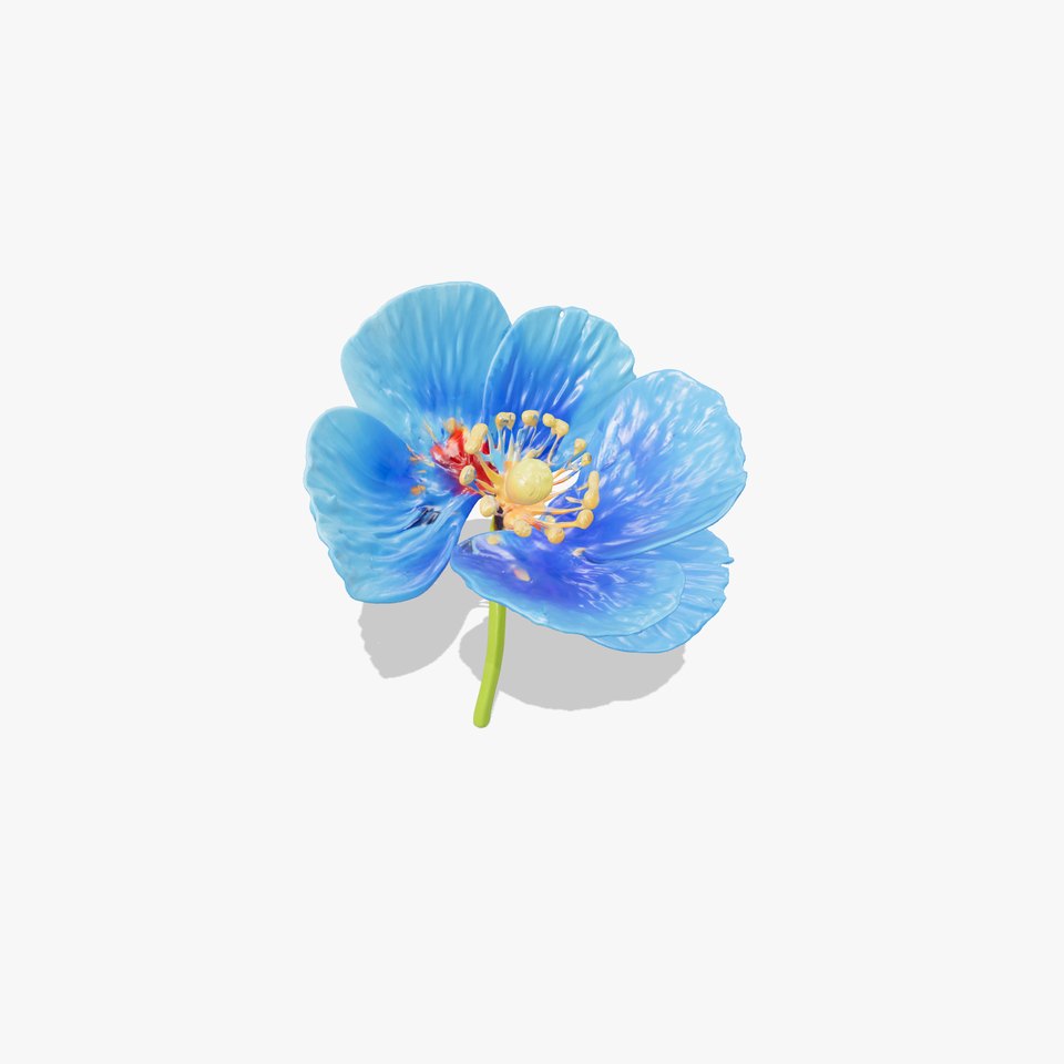 Blue Poppy Flower Model Pack for Realistic Scenes